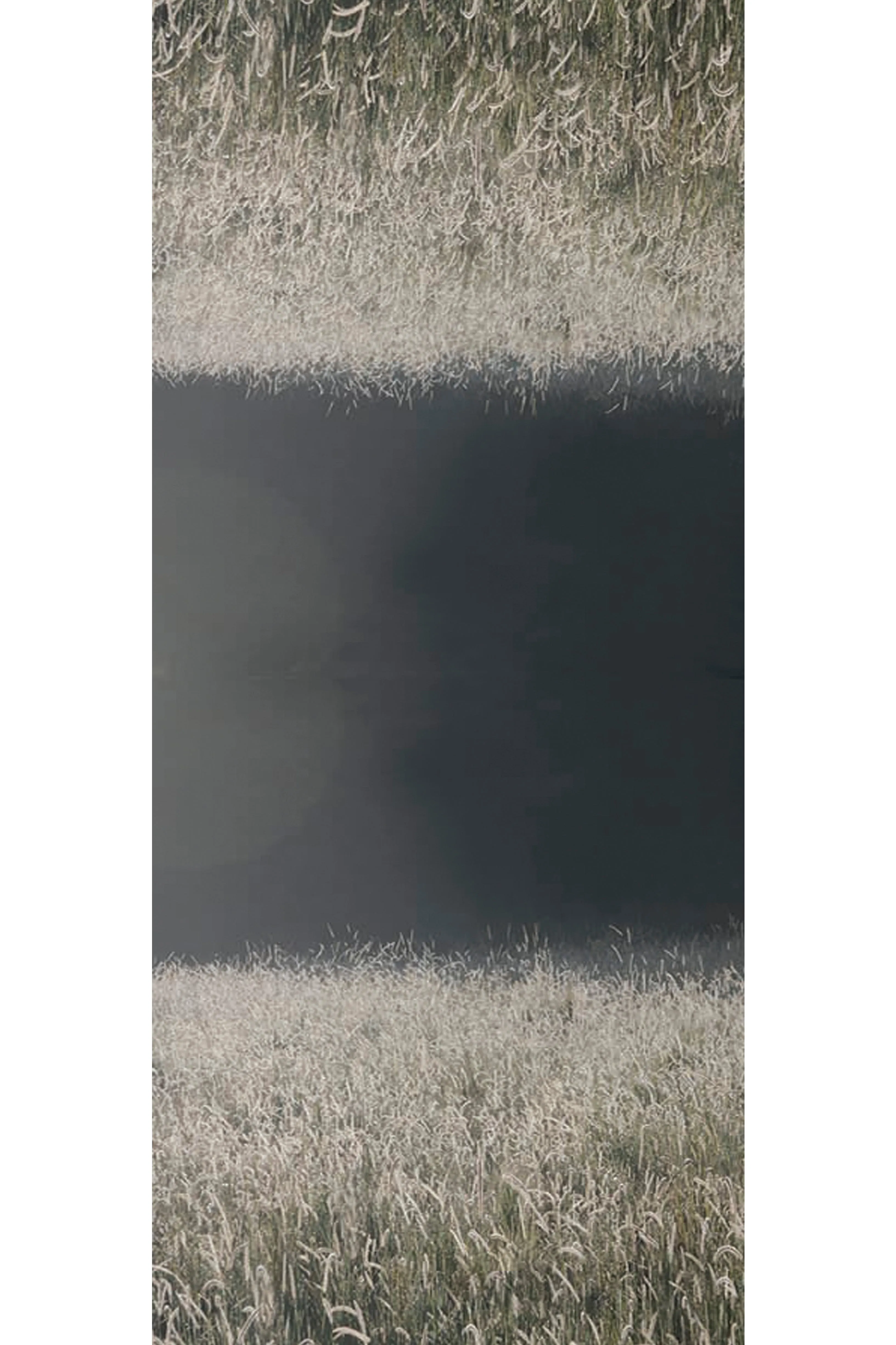 MORNING GRASSES WOOL & SILK SCARF