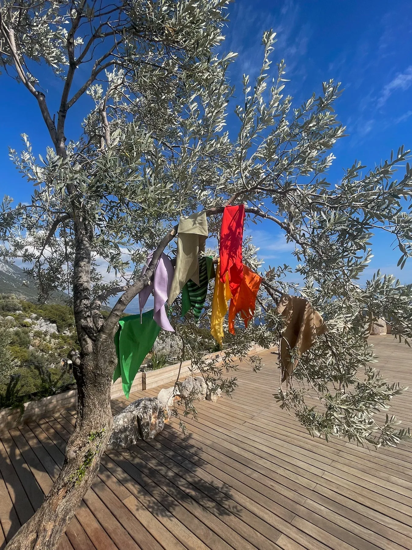 VeganSilky Scarves (Unisex)